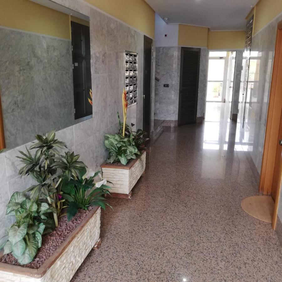 Apartamento A 50 Metros De La Playa Muchavista El Campello Eksteriør bilde